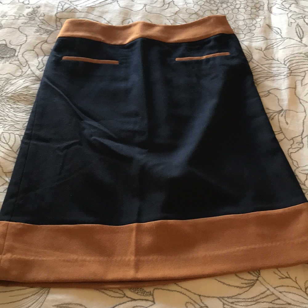 Ann Taylor Loft skirt
